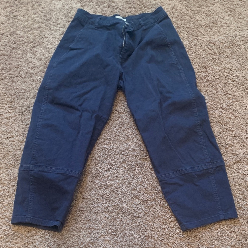 Everlane Women’s Deep Blue Chinos